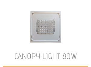 canopy-light-80w