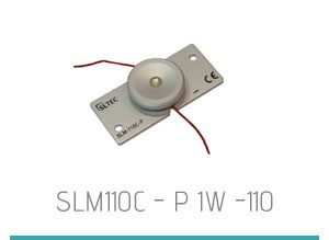 module-SLM110C---P-1W--110