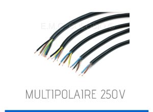 multipolaire-250v