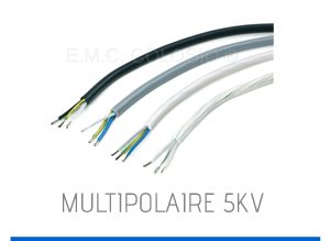 unipolaire5kv