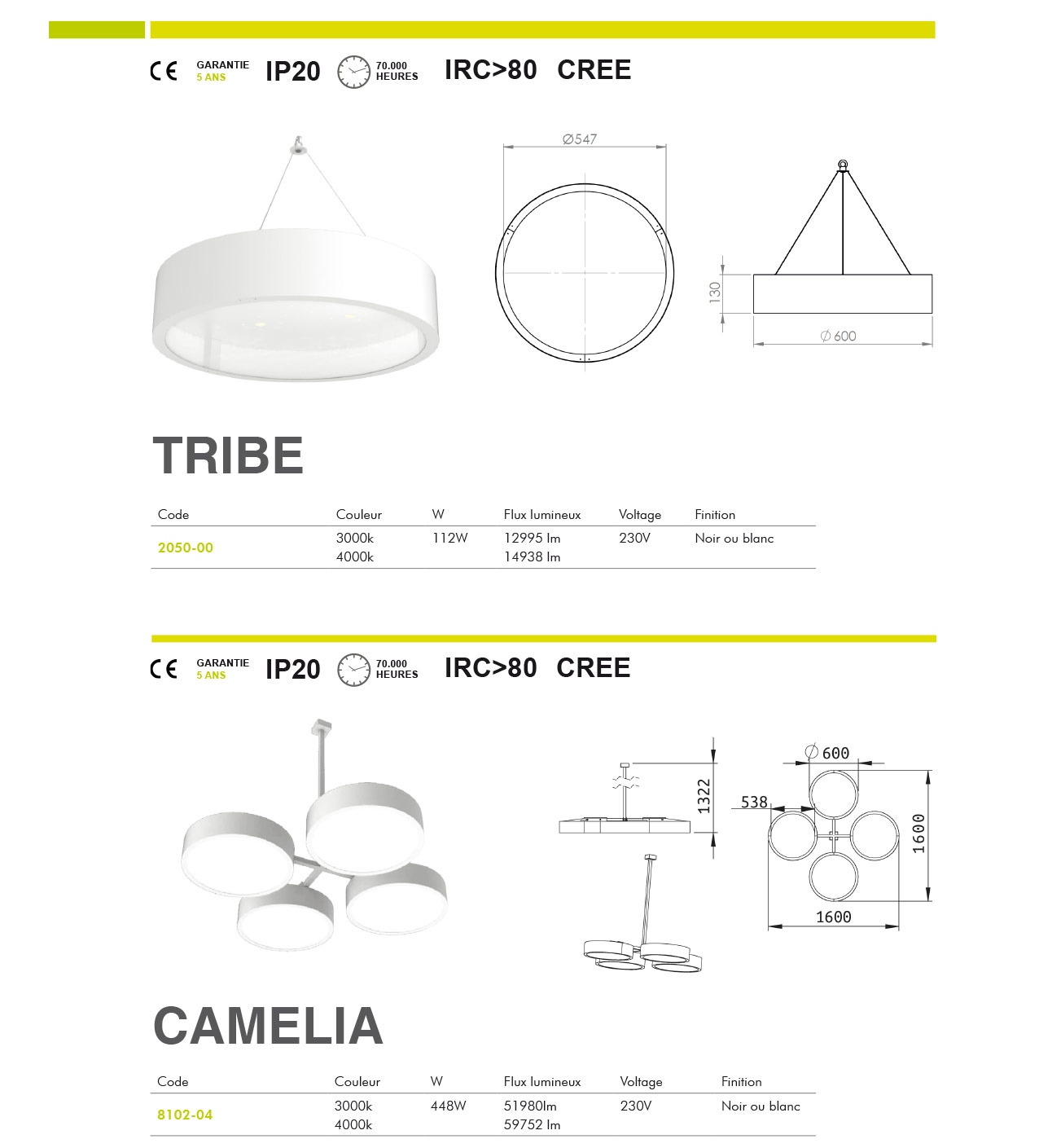 tribe-camelia